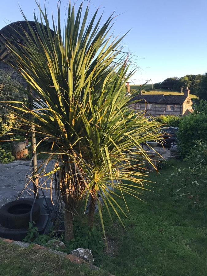 Fern Cottage Dorchester Buitenkant foto